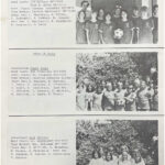 sebastopol-youth-soccer-league-1977-25