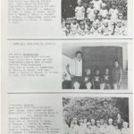 sebastopol-youth-soccer-league-1977-33